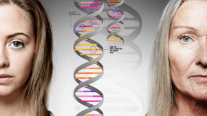 Gastbijdrage: Inleiding tot de genetische genealogie