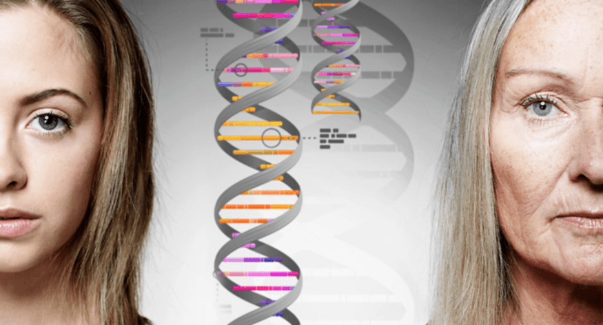 Gastbijdrage: Inleiding tot de genetische genealogie