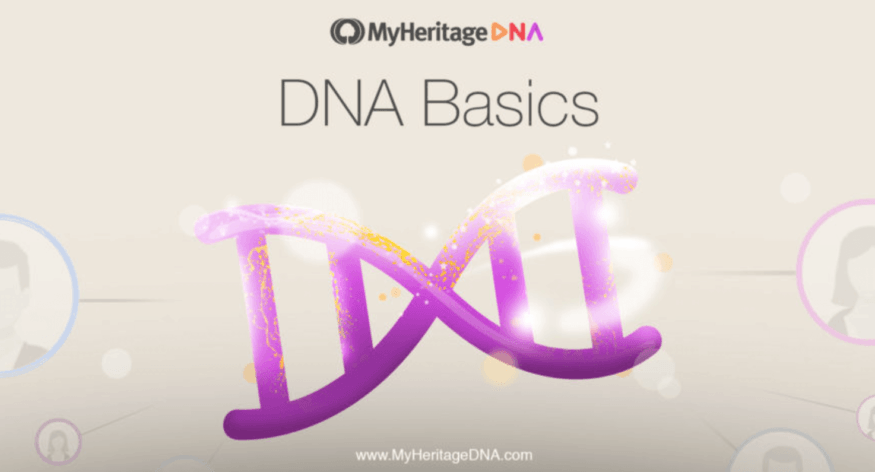 DNA Basics – Hoofdstuk 4: Verklarende woordenlijst