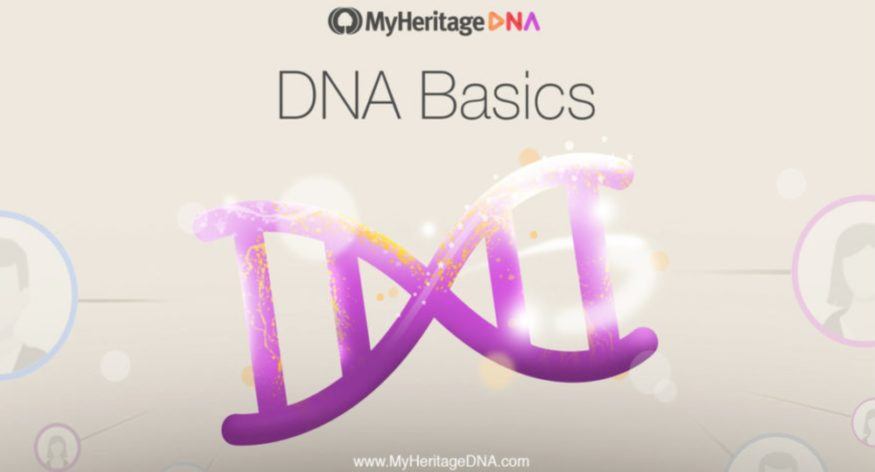 DNA Basics – Deel 2: de structuur van DNA