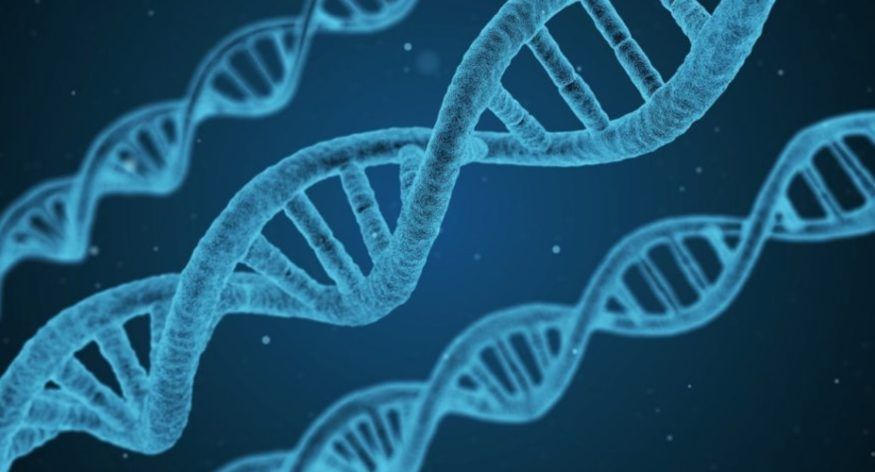 DNA Basics Deel 1 – een nieuwe blogserie
