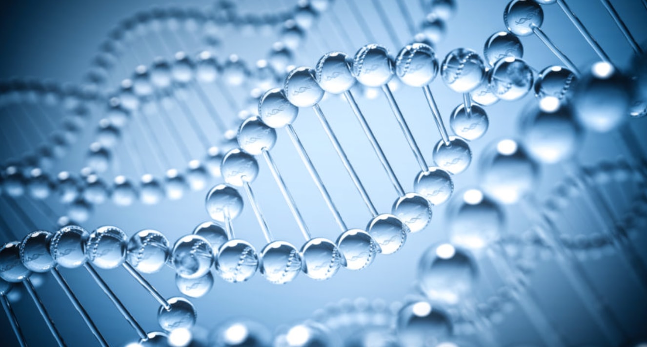 DNA-dag met 10 interessante weetjes over DNA