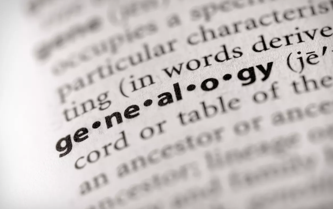 Over de betekenis van genealogie