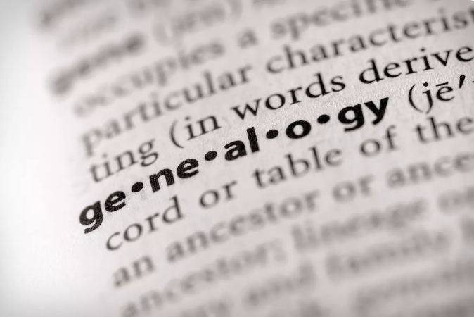 Over de betekenis van genealogie