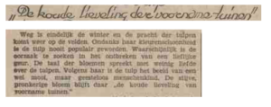 Artikel uit het Sociaal-democratisch dagblad van 18 mei 1929. Bron: MyHeritage (klik om te vergroten)