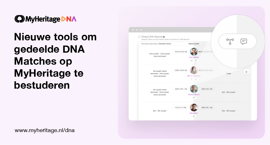 Nieuwe tools om gedeelde DNA Matches op MyHeritage te bestuderen