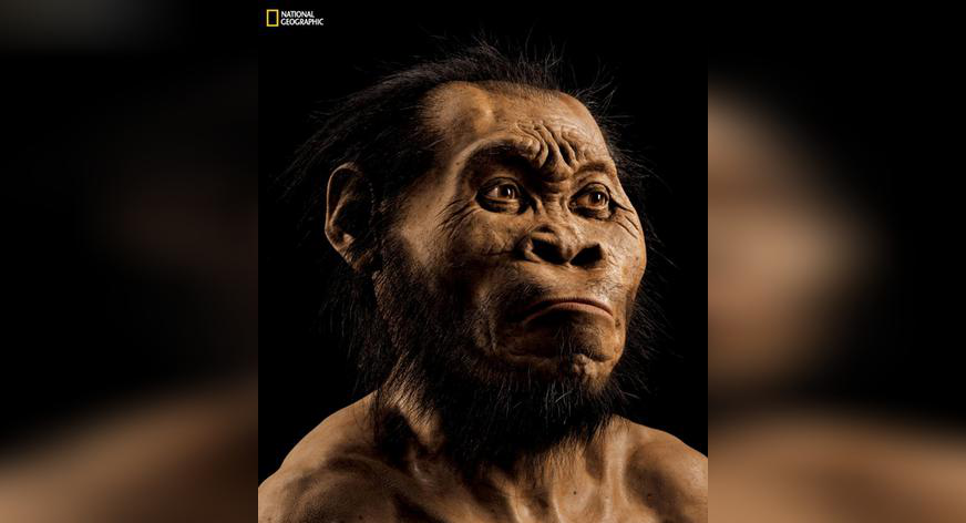 Nieuwe mensachtige ontdekt in grot Zuid-Afrika