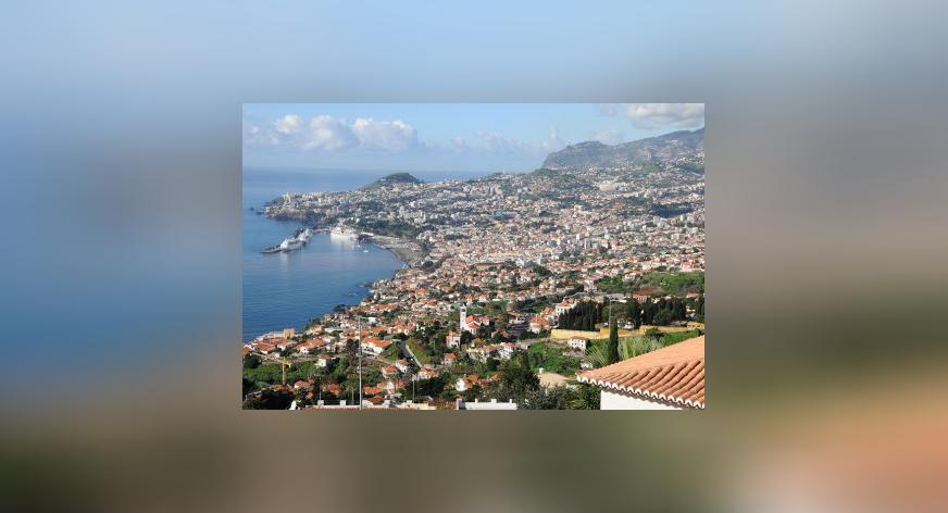 Onze vrijwilligers: van Madeira naar MyHeritage