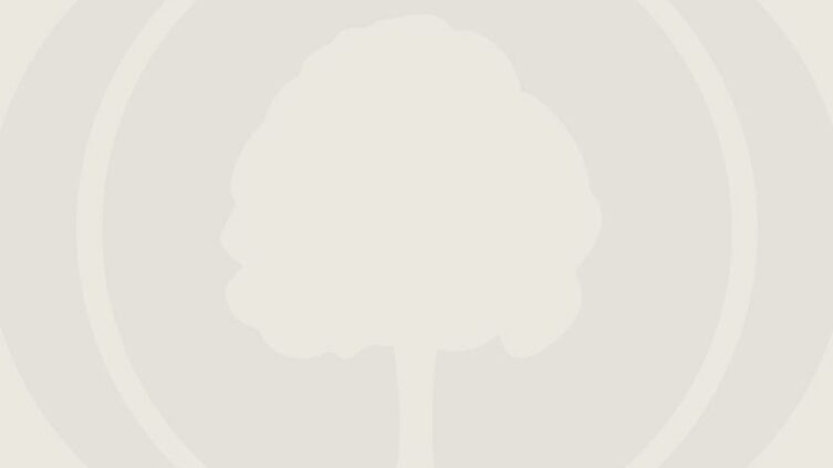 Ontdek uw familiegeschiedenis – de eerste stappen